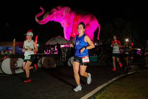 BIB: 
                            <button type="button" onclick="openModal(26535003)" class="btn btn-primary btn-sm float-right btn-popup" data-toggle="modal" data-target=".modal-high-quality">
                        <i class="fas fa-shopping-cart"></i> Add to Cart
                    </button>
                                            <button type="button" onclick="isThisMe(26535003, true)" class="btn btn-success btn-sm float-right btn-popup btn-isme hidden" data-toggle="tooltip" data-placement="bottom" title="นี่คือรูปของคุณใช่ไหม คลิกที่นี่เพื่อเอาเข้าอัลบั้ม">
                        <i class="fas fa-plus"></i> Add to album
                    </button>
                    <button type="button" onclick="isThisMe(26535003, false)" class="btn btn-warning btn-sm float-right btn-popup btn-isnotme hidden">
                        <i class="fas fa-ban"></i> Remove from album
                    </button>